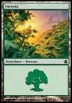 Foresta 