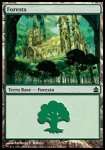 Foresta 
