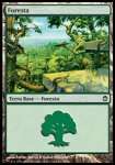 Foresta (V.1)