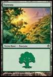 Foresta (V.2)