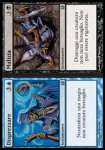 Disprezzare // Malizia