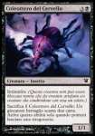 Coleottero del Cervello