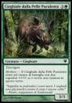 Cinghiale dalla Pelle Purulenta