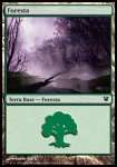 Foresta (V.1)