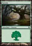Foresta (V.3)