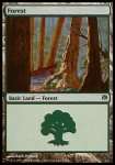 Foresta (V.2)