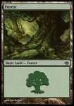 Foresta (V.4)