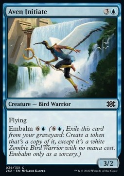 /prodotti/1/2x2/double-masters-2022-aven-initiate-665717.jpg