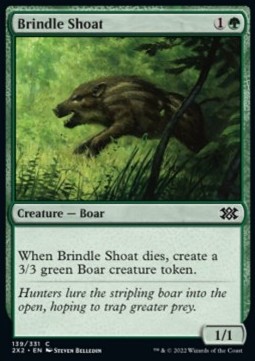/prodotti/1/2x2/double-masters-2022-brindle-shoat-664050.jpg