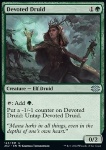 Druido Devoto