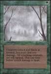 Nebbia