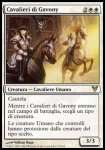Cavalieri di Gavony