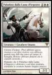 Paladino dalla Lama d'Argento