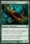 Legnodoso in Fiore
