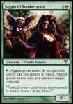 Saggia di Somberwald