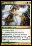 Ali Splendipolline