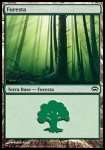 Foresta