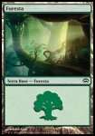 Foresta