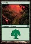 Foresta