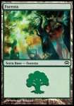 Foresta