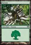 Foresta