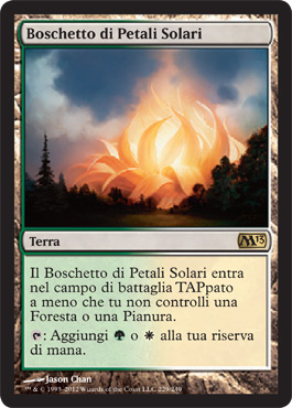 /prodotti/1/303/M14229.jpg