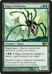 Ragno Setafrusta