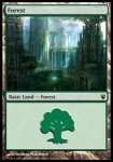 Foresta (V.1)