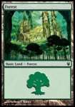 Foresta (V.3)