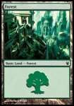 Foresta (V.4)