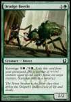 Scarabeo di Fatica