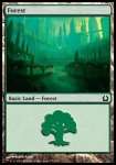 Foresta