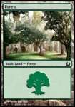 Foresta