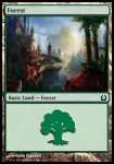 Foresta