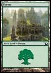 Foresta