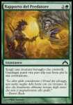 Rapporto del Predatore