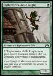 Esploratrice delle Guglie