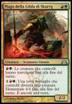 Mago della Gilda di Skarrg