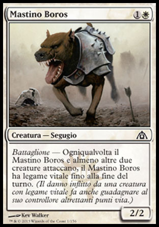 /prodotti/1/310/DGM001.jpg