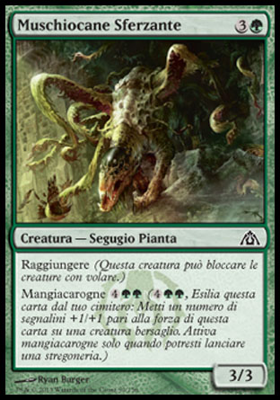 /prodotti/1/310/DGM050.jpg