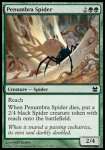 Ragno della Penombra