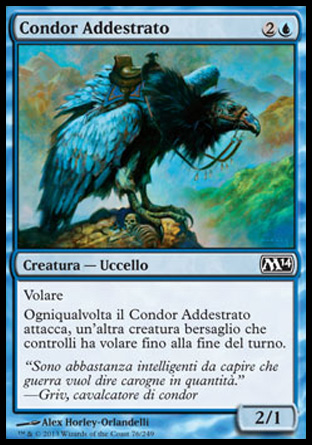 /prodotti/1/312/M15076.jpg