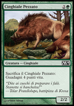 /prodotti/1/312/M15167.jpg