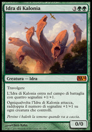/prodotti/1/312/M15181.jpg