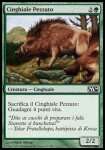 Cinghiale Pezzato