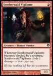 Vigilante di Somberwald