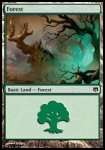 Foresta (V.2)