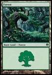 Foresta (V.4)