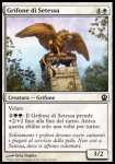 Grifone di Setessa