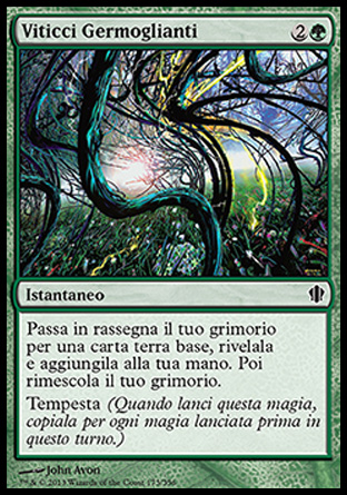 /prodotti/1/316/C13173.jpg